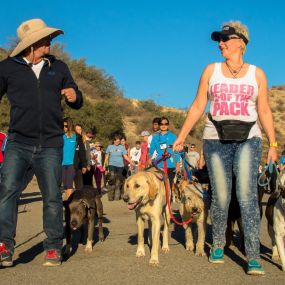 Bild von Leader of the Pack