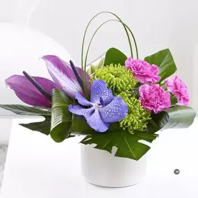 Bild von Conservatory Florist