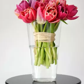 Bild von Conservatory Florist