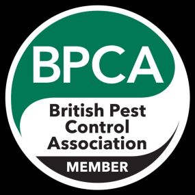 Bild von Duchy Pest Control
