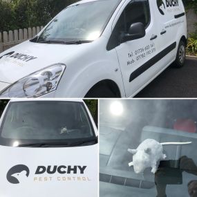 Bild von Duchy Pest Control