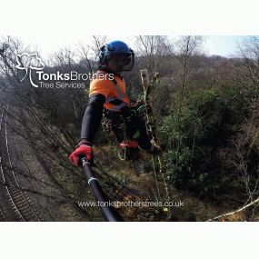 Bild von Tonks Brothers Tree Services