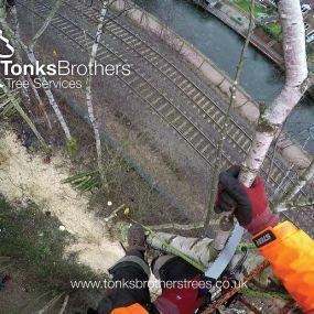 Bild von Tonks Brothers Tree Services