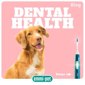 Bild von Emmipet - Ultrasonic Doggy Dentals by Diamonddax