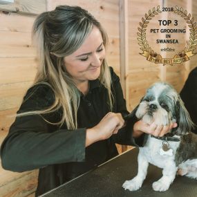 Bild von Short Bark & Sides Dog Grooming with Day Care