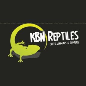 Bild von KBN Reptiles