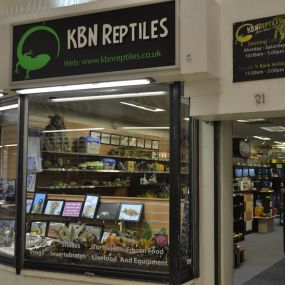 Bild von KBN Reptiles