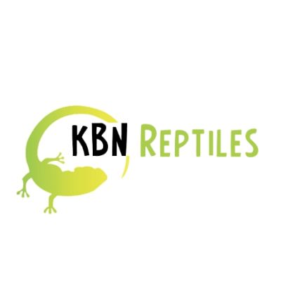 Logo from KBN Reptiles