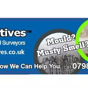 Bild von Damp Detectives