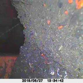 Bild von Damp Detectives