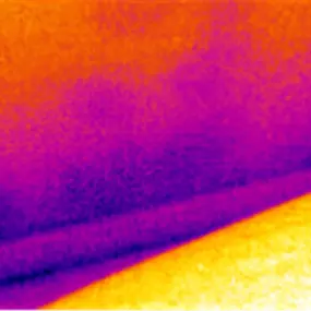 Bild von Damp Detectives