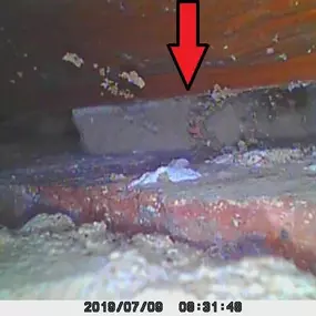 Bild von Damp Detectives