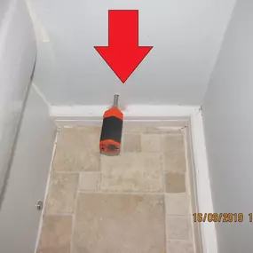 Bild von Damp Detectives