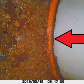 Bild von Damp Detectives