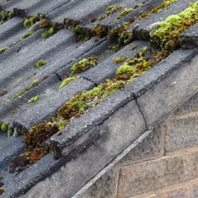 Bild von Damp Detectives