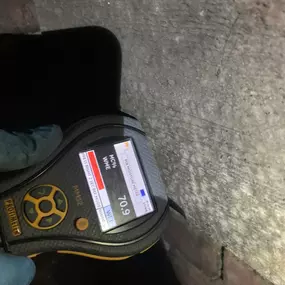 Bild von Damp Detectives