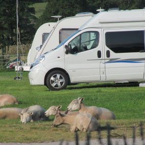 Bild von Oxen Close Farm Cottages & Campsite