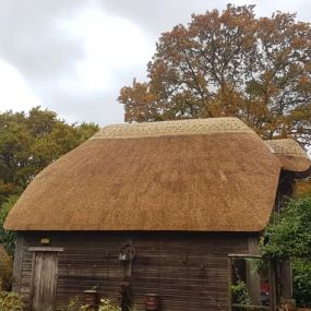 Bild von Howard Empson Thatching