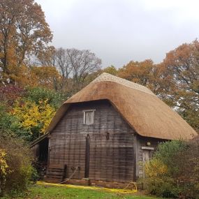 Bild von Howard Empson Thatching