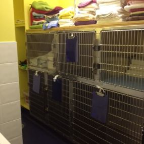 Bild von North Weald Veterinary Surgery