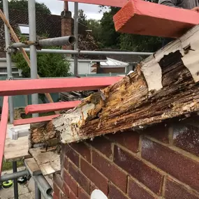 Bild von Pro-Tec Home Improvements
