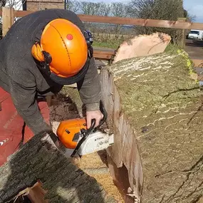 Bild von The Handy Log Man Ltd