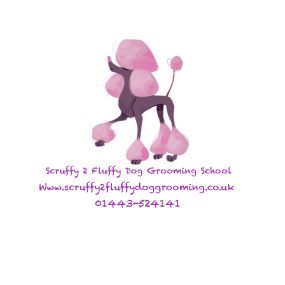 Bild von Scruffy 2 Fluffy Dog Grooming School