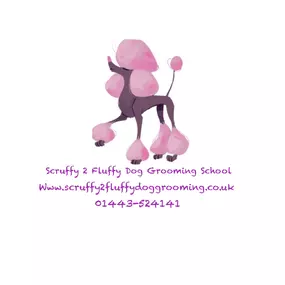 Bild von Scruffy 2 Fluffy Dog Grooming School