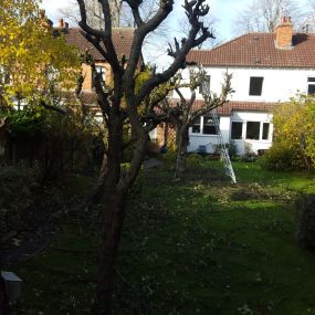 Bild von R.B Garden Maintenance Services