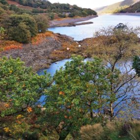 Bild von PR Snowdonia Taxis