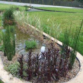 Bild von Aquascapes Water Feature Specialist Ltd