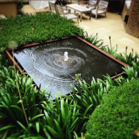 Bild von Aquascapes Water Feature Specialist Ltd