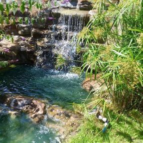 Bild von Aquascapes Water Feature Specialist Ltd