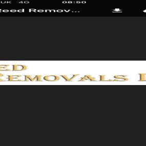 Bild von Reed Removals Ltd