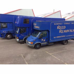 Bild von Reed Removals Ltd