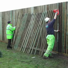 Bild von Ringwood Fencing Ltd