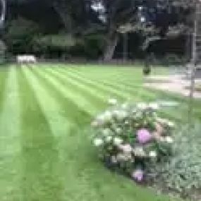 Bild von Greenkeeper Lawns Ltd