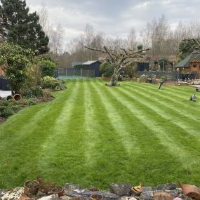 Bild von Greenkeeper Lawns Ltd