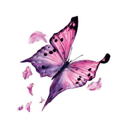 Logo de Butterfly Beauty