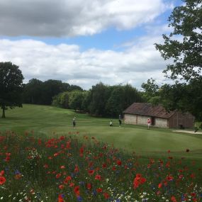 Bild von Alresford Golf Club