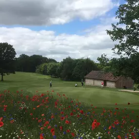 Bild von Alresford Golf Club