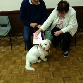 Bild von Chestnut Lodge Dog Training