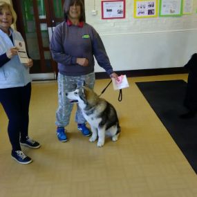 Bild von Chestnut Lodge Dog Training