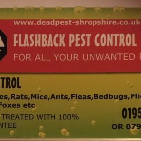 Bild von Flashback Pest Control