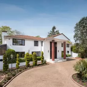 Bild von Vector Structures