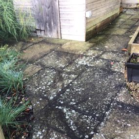 Bild von The Patio Black Spot Removal Co.Ltd