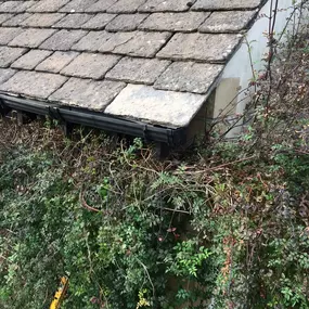 Bild von Gareth Shallcross