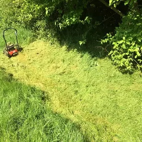 Bild von Gareth Shallcross