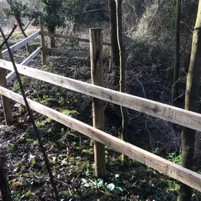 Bild von Gareth Shallcross