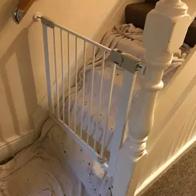 Bild von Gareth Shallcross